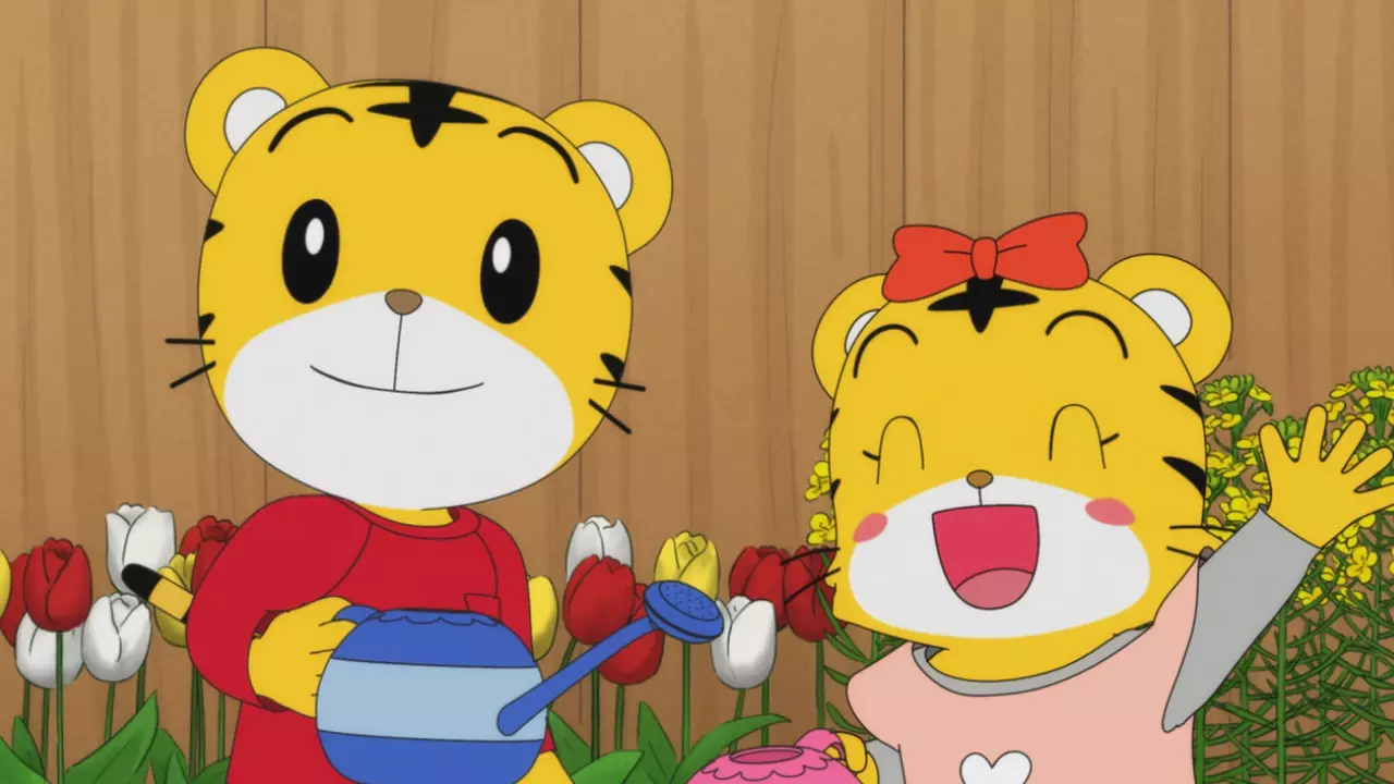 【Rチャンネル】楽しく学習しよう！幼児・子供向けアニメ特集